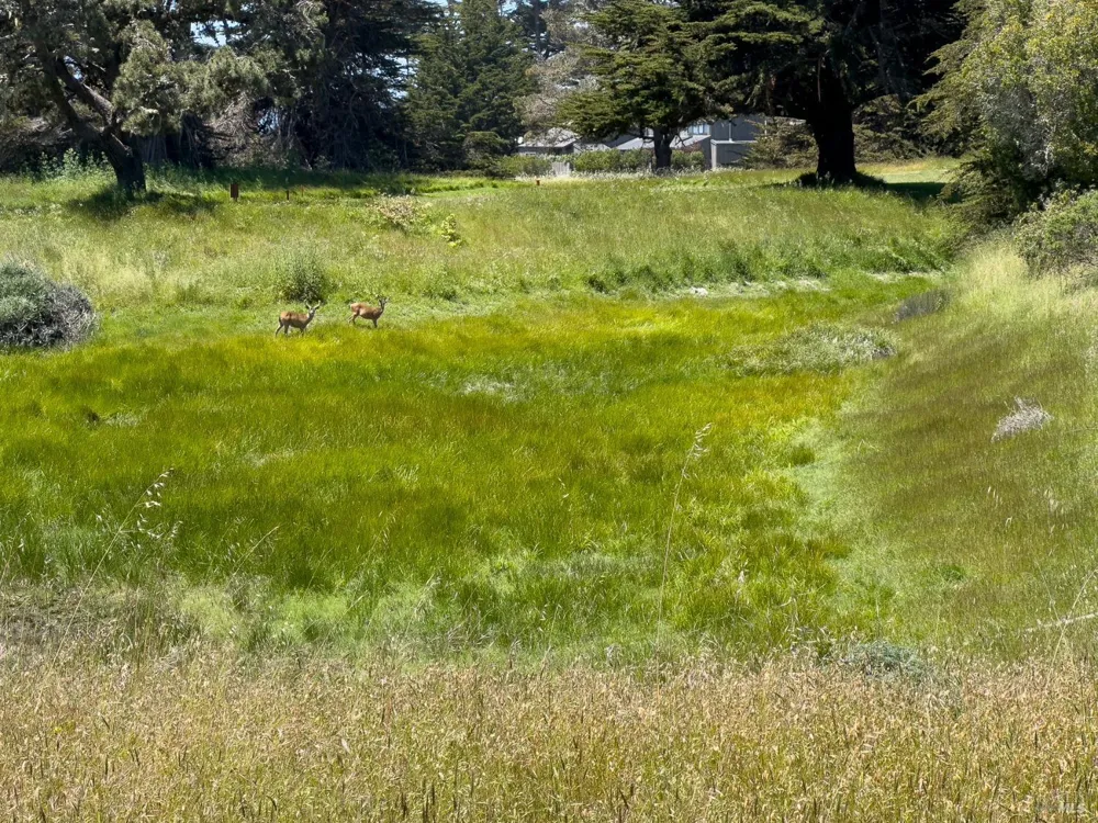42320 Forecastle Street ##35E-2 The Sea Ranch, CA 95497