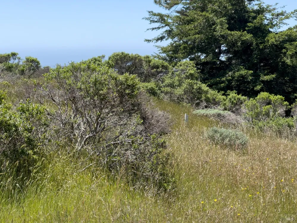 42320 Forecastle Street ##35E-2 The Sea Ranch, CA 95497
