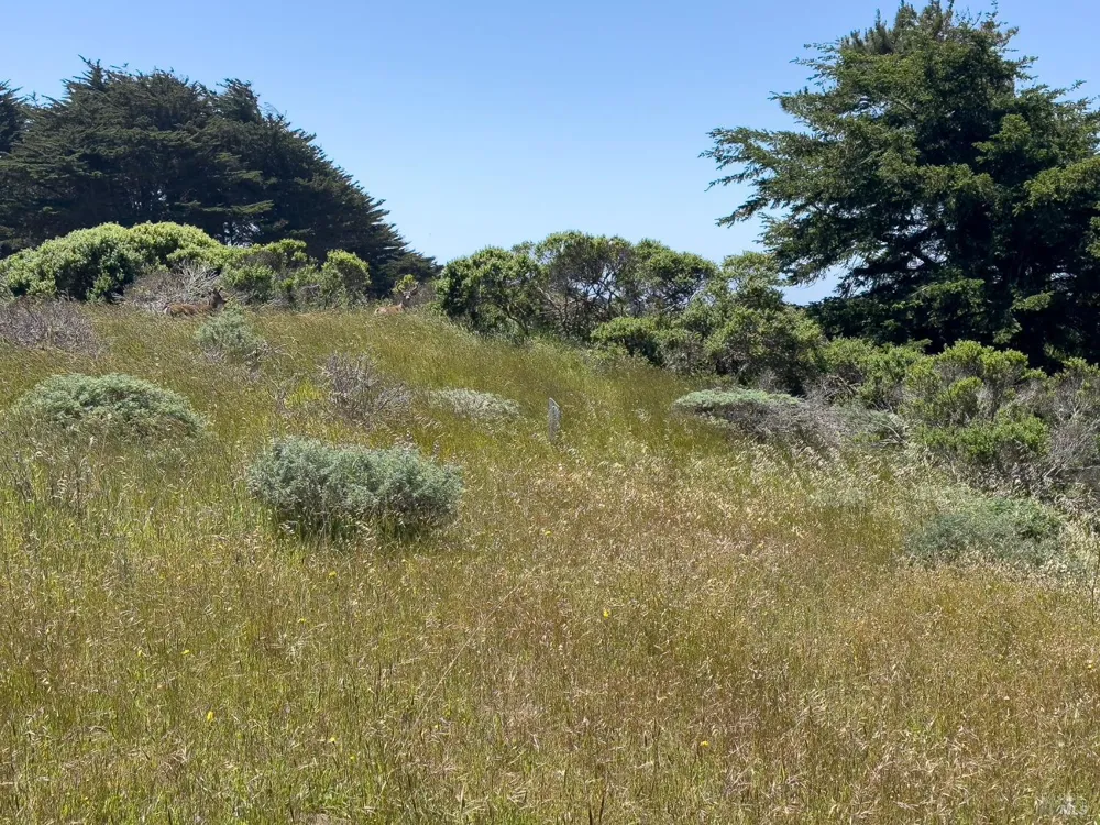 42320 Forecastle Street ##35E-2 The Sea Ranch, CA 95497