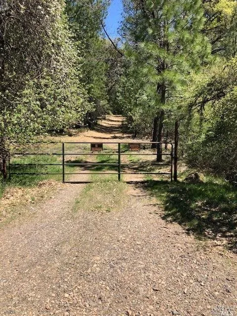 6736 Harrington Flat Road