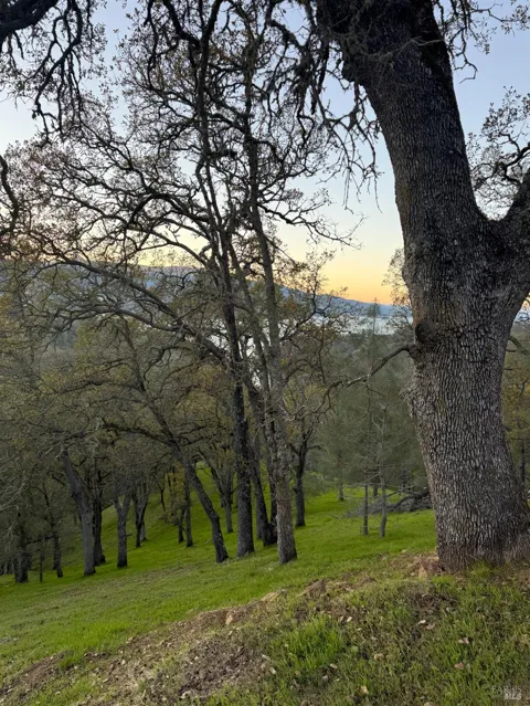 1135 Steele Canyon Road