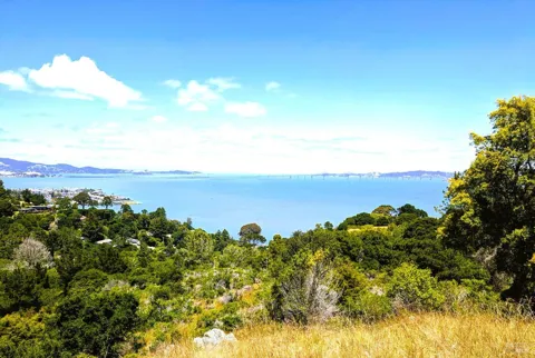 Paradise Glen