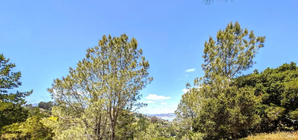 Paradise Glen Tiburon, CA 94920