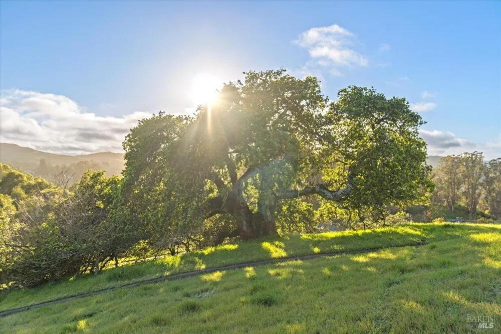 45 Augusta Circle Petaluma, CA 94952