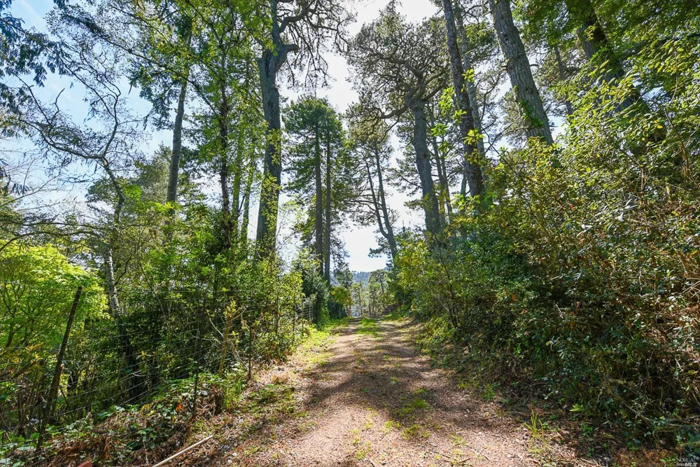 531 Via De La Vista Inverness, CA 94937