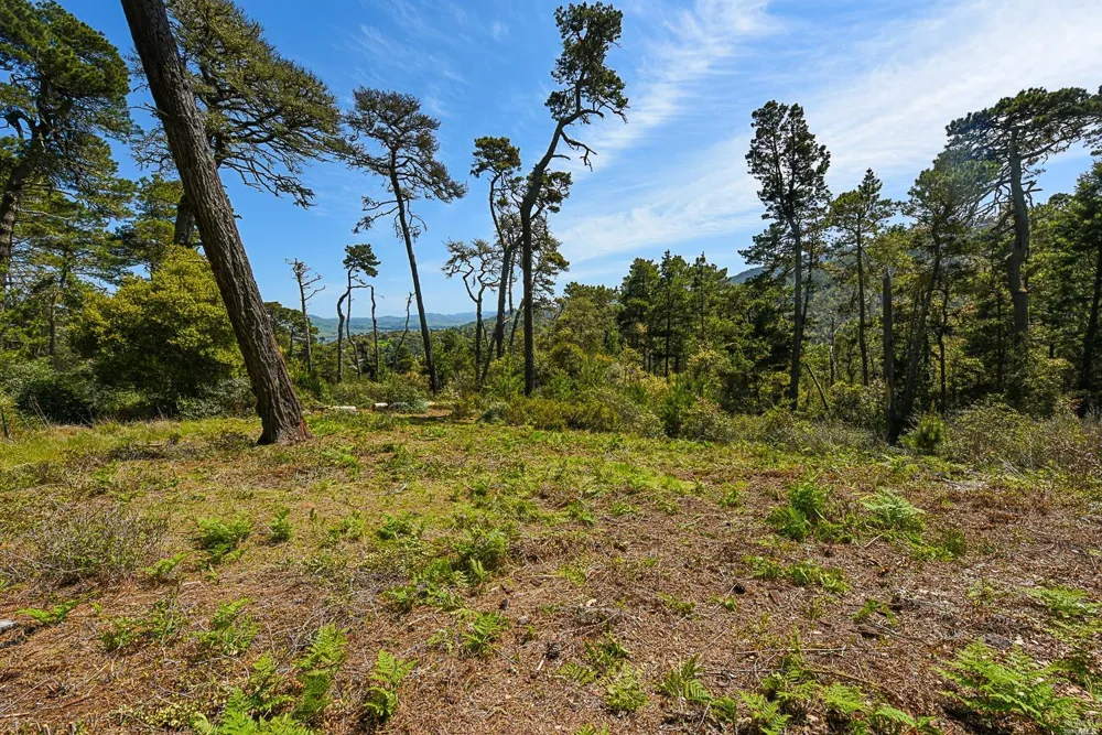 531 Via De La Vista Inverness, CA 94937