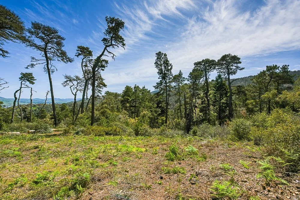 531 Via De La Vista Inverness, CA 94937