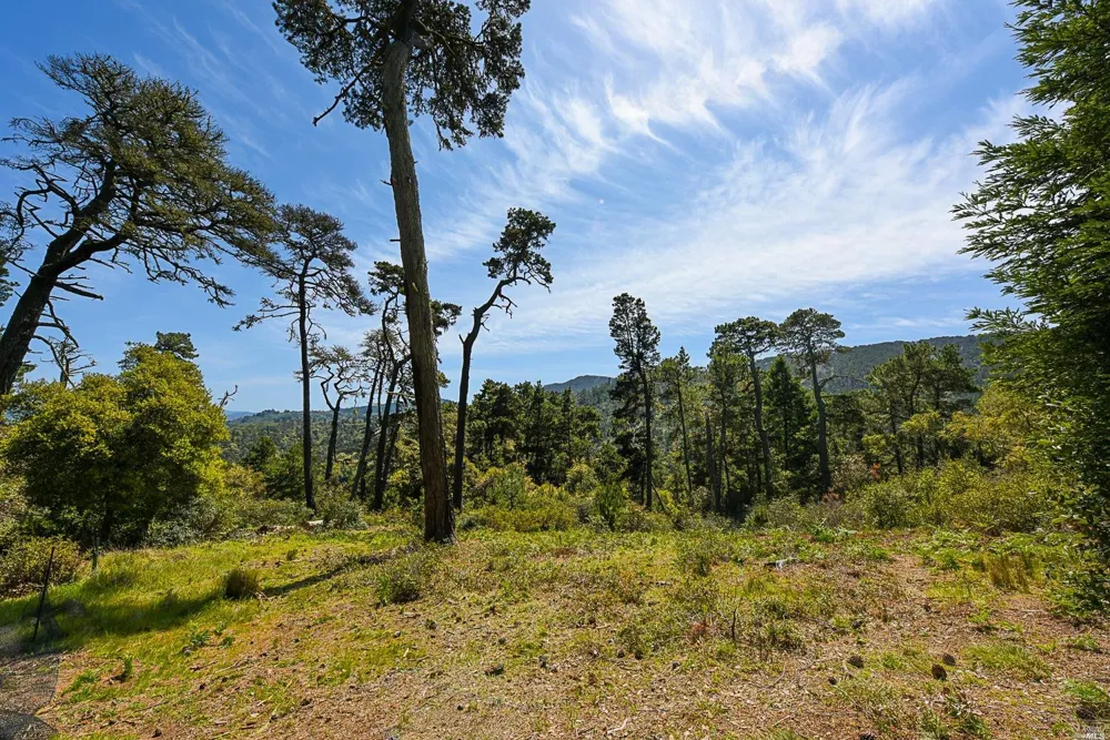 531 Via De La Vista Inverness, CA 94937