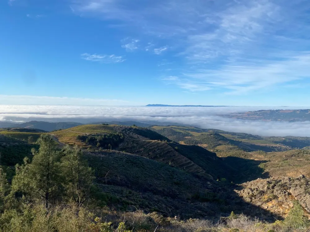 4420 Cavedale Road Glen Ellen, CA 95442