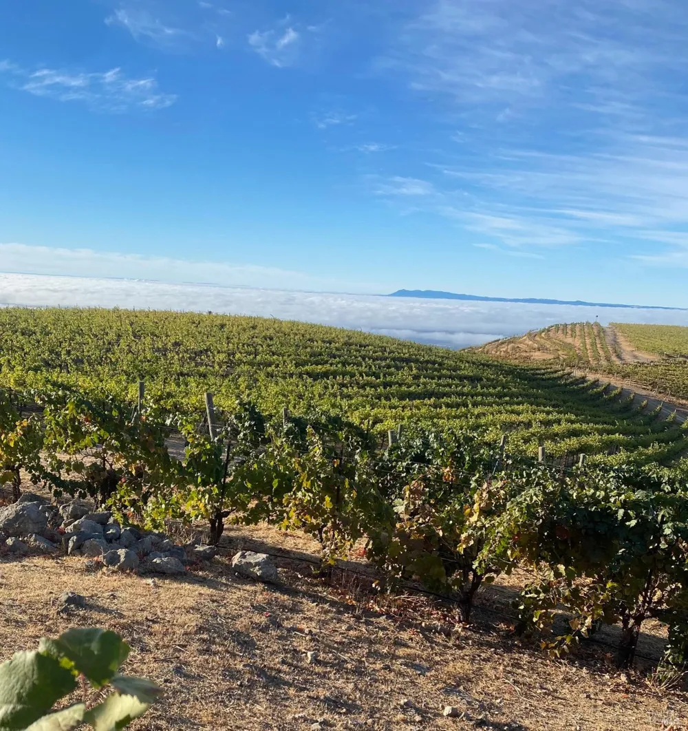 4420 Cavedale Road Glen Ellen, CA 95442