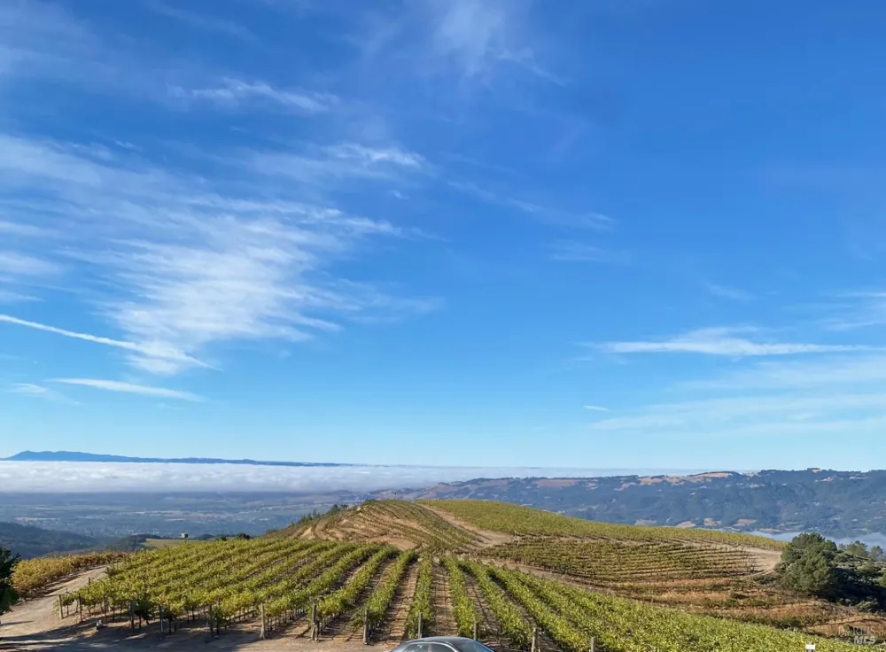 4420 Cavedale Road Glen Ellen, CA 95442