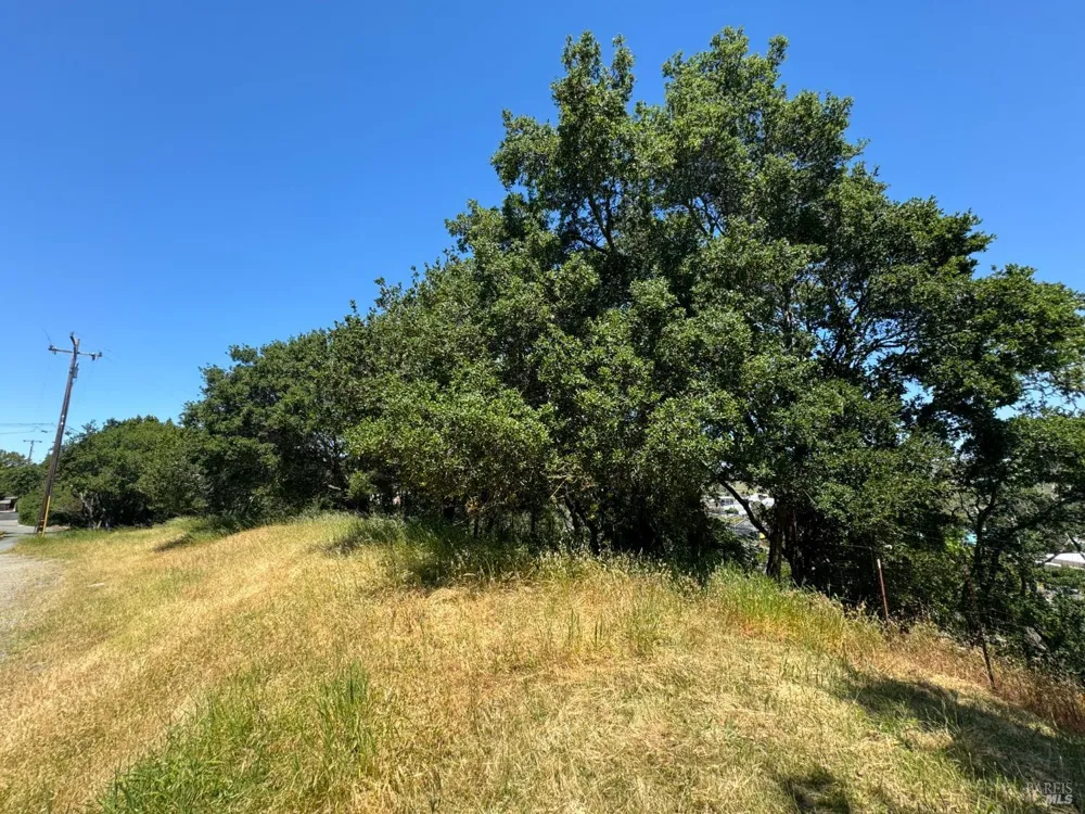 815 Meadowsweet Drive Corte Madera, CA 94925