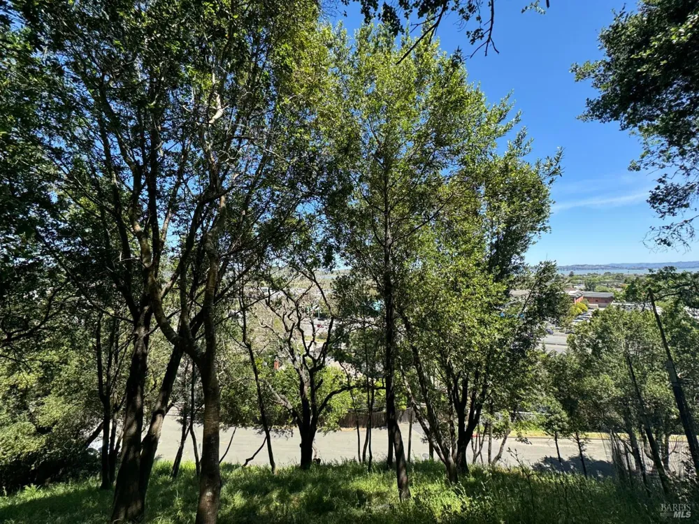815 Meadowsweet Drive Corte Madera, CA 94925