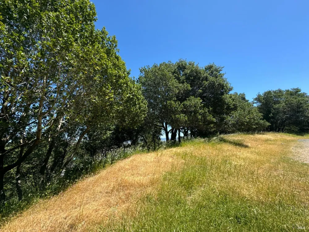 815 Meadowsweet Drive Corte Madera, CA 94925