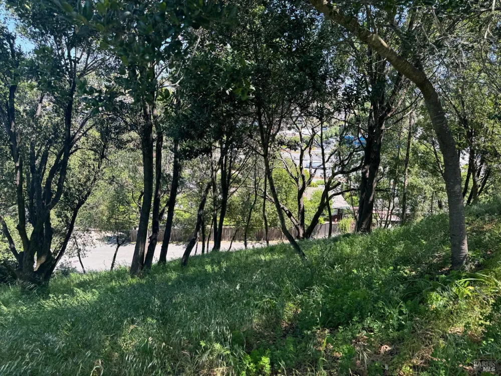 815 Meadowsweet Drive Corte Madera, CA 94925