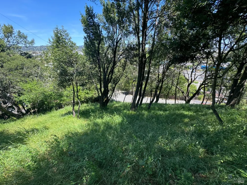 815 Meadowsweet Drive Corte Madera, CA 94925
