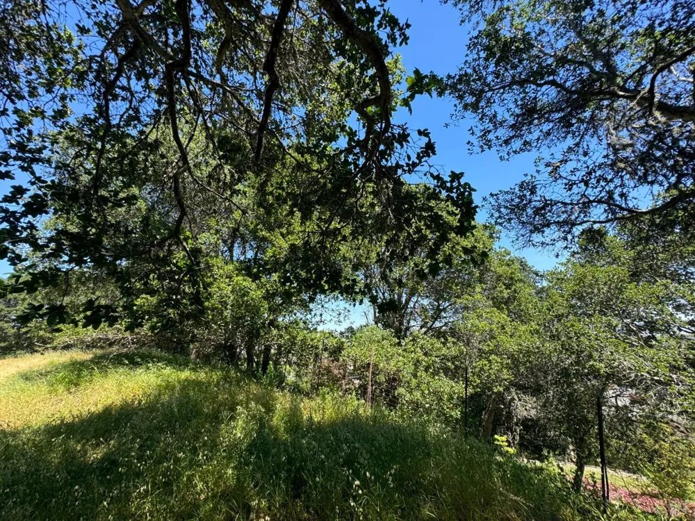 815 Meadowsweet Drive Corte Madera, CA 94925