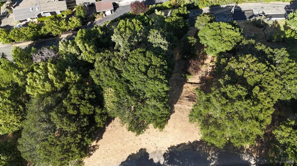 815 Meadowsweet Drive Corte Madera, CA 94925