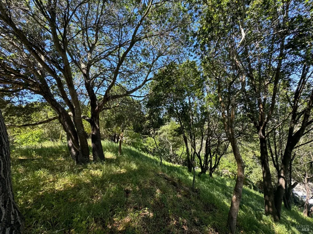 815 Meadowsweet Drive Corte Madera, CA 94925