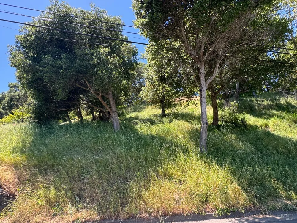 815 Meadowsweet Drive Corte Madera, CA 94925
