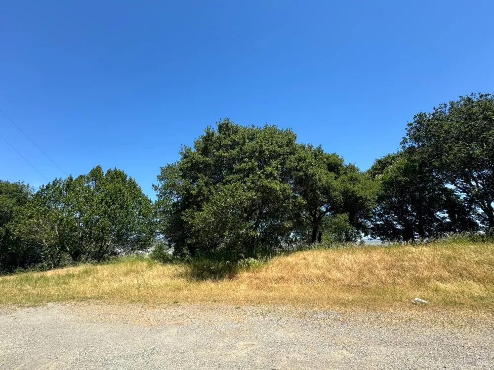 815 Meadowsweet Drive Corte Madera, CA 94925