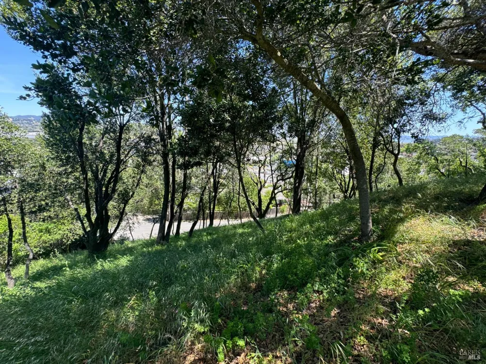 815 Meadowsweet Drive Corte Madera, CA 94925