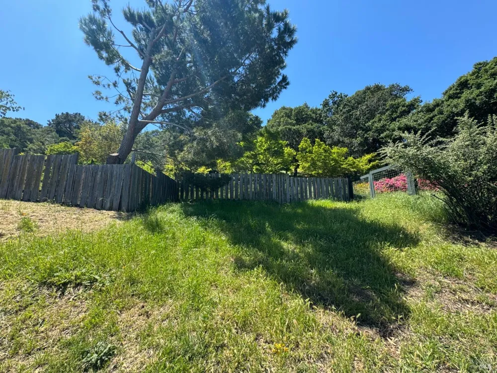 815 Meadowsweet Drive Corte Madera, CA 94925