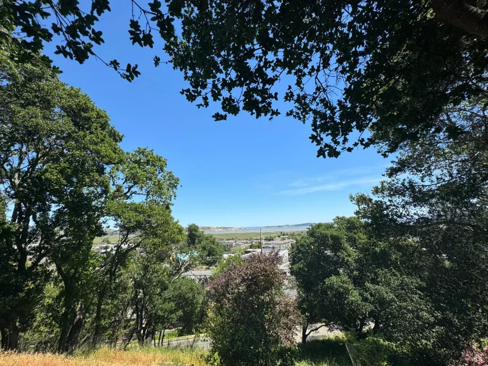 815 Meadowsweet Drive Corte Madera, CA 94925