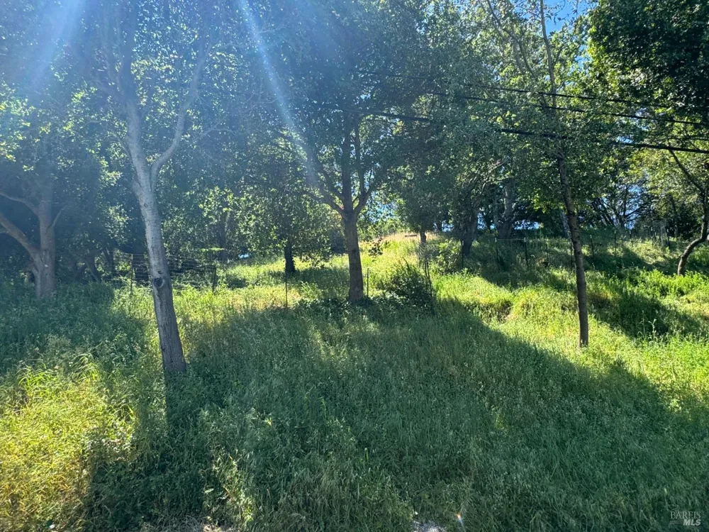 815 Meadowsweet Drive Corte Madera, CA 94925
