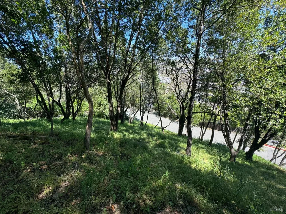 815 Meadowsweet Drive Corte Madera, CA 94925
