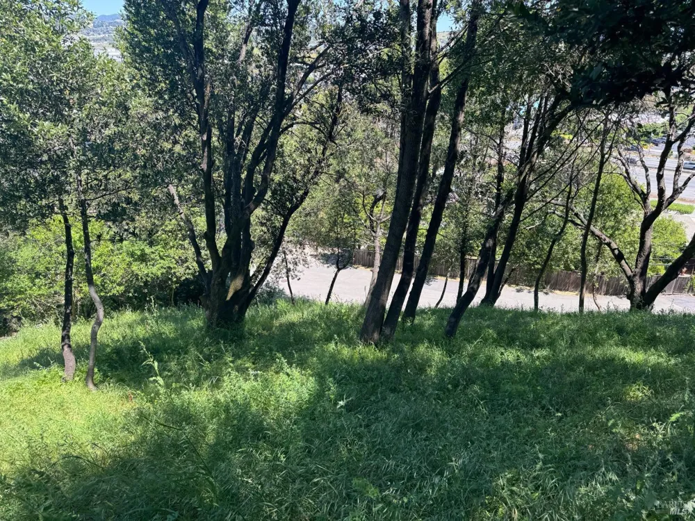 815 Meadowsweet Drive Corte Madera, CA 94925