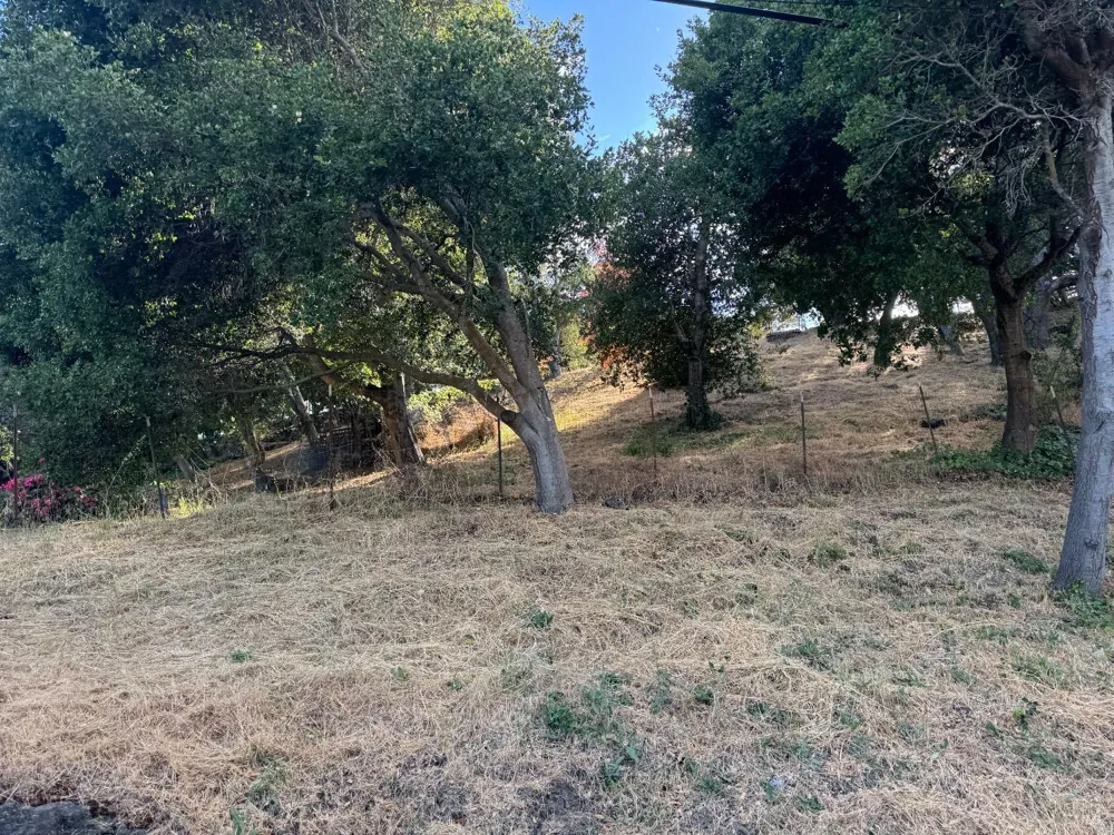 815 Meadowsweet Drive Corte Madera, CA 94925