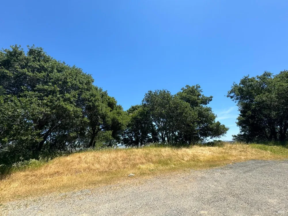 815 Meadowsweet Drive Corte Madera, CA 94925