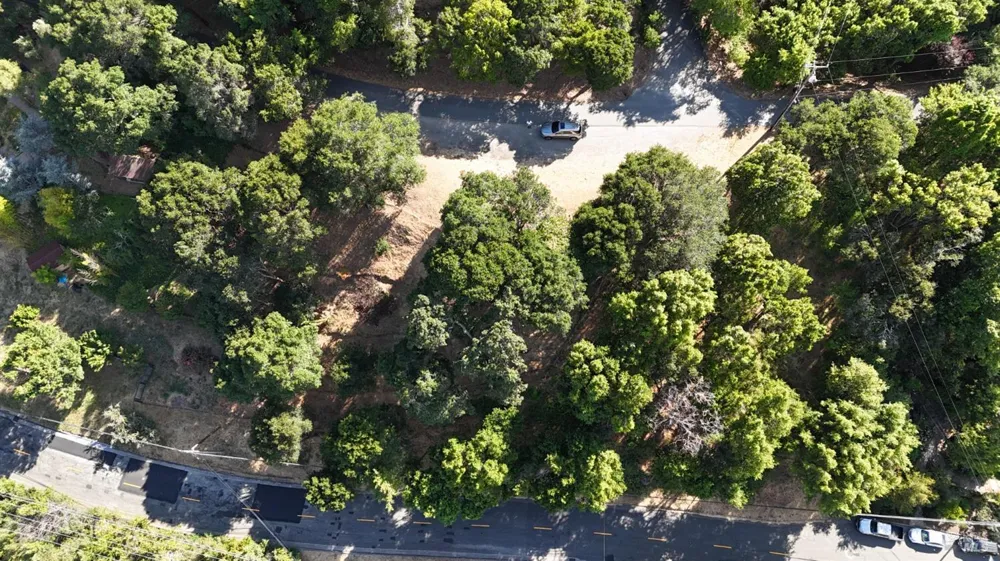 815 Meadowsweet Drive Corte Madera, CA 94925