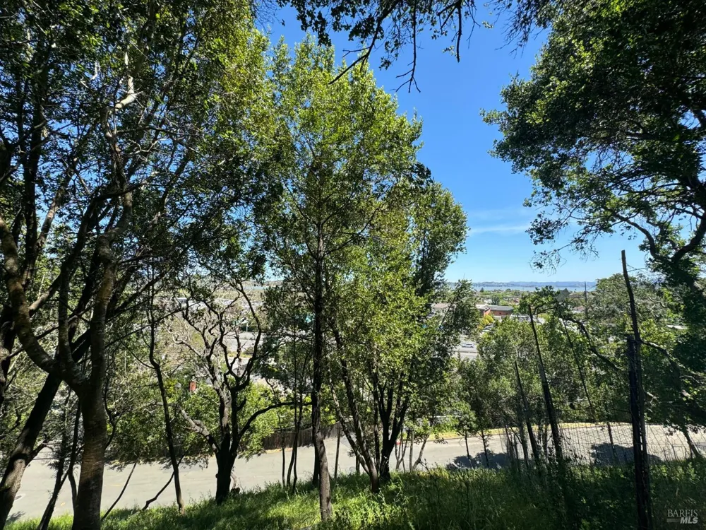 815 Meadowsweet Drive Corte Madera, CA 94925