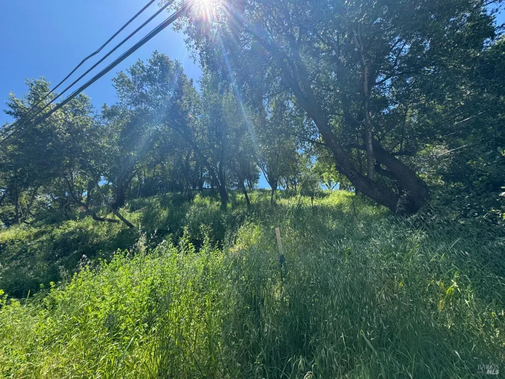 815 Meadowsweet Drive Corte Madera, CA 94925