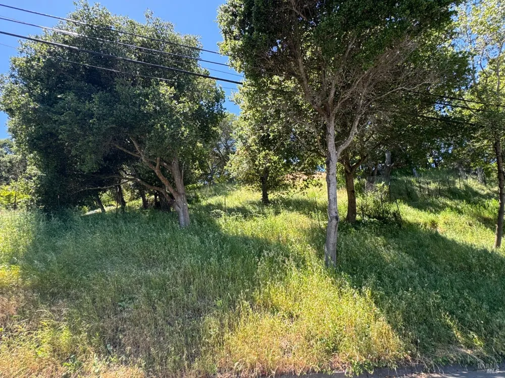 815 Meadowsweet Drive Corte Madera, CA 94925