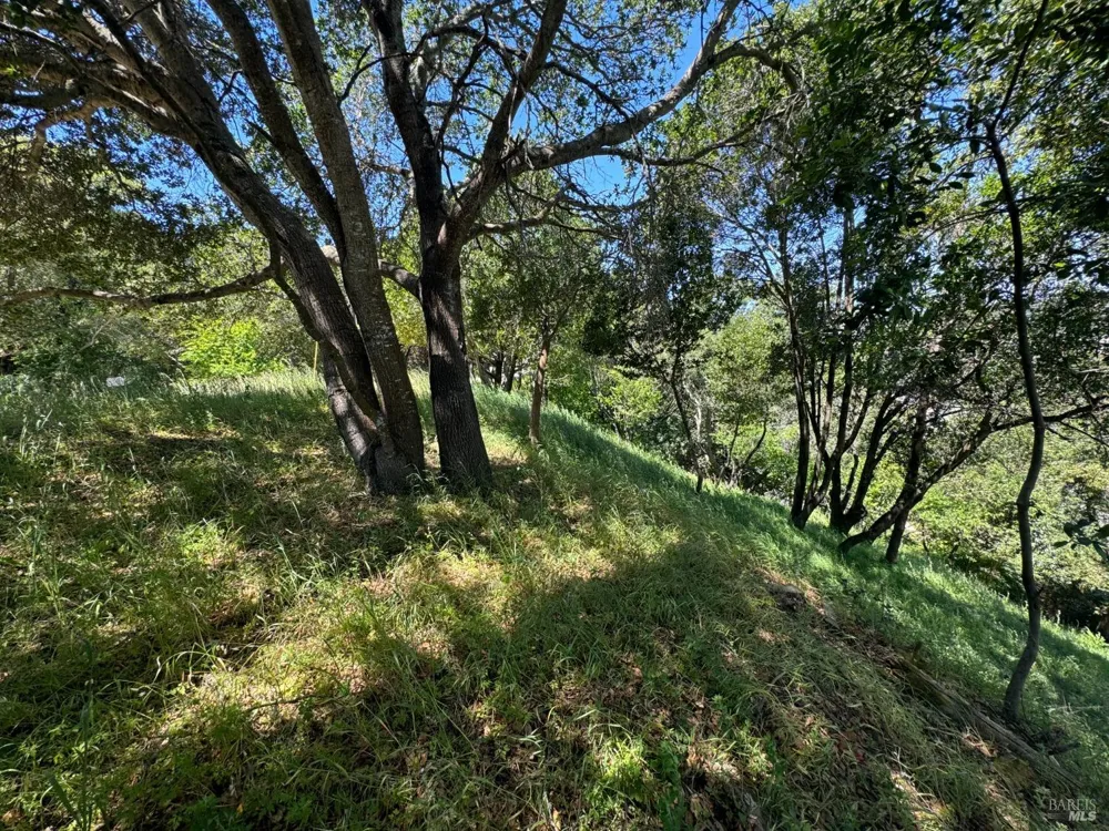 815 Meadowsweet Drive Corte Madera, CA 94925