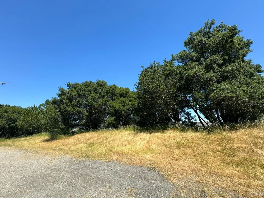 815 Meadowsweet Drive Corte Madera, CA 94925