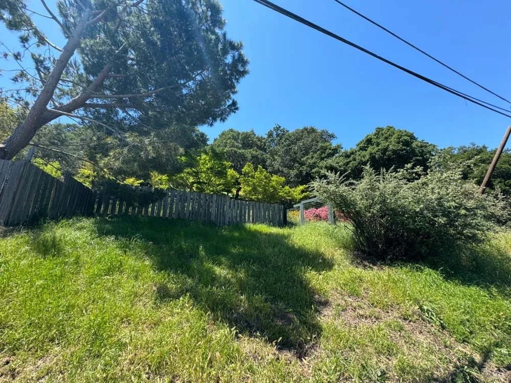 815 Meadowsweet Drive Corte Madera, CA 94925