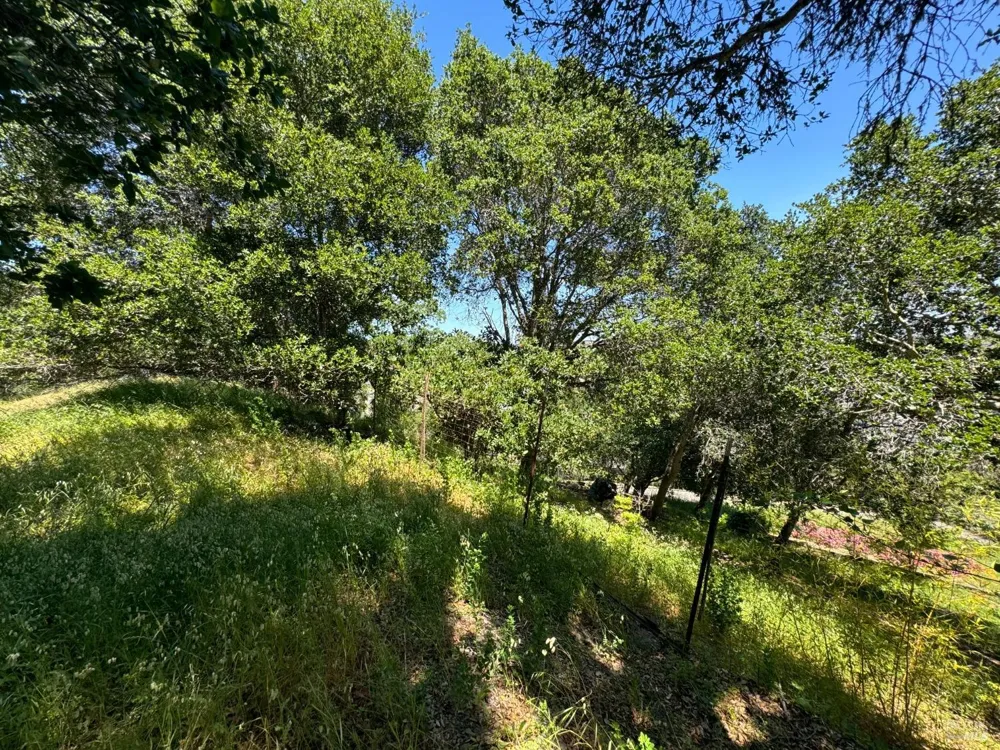 815 Meadowsweet Drive Corte Madera, CA 94925