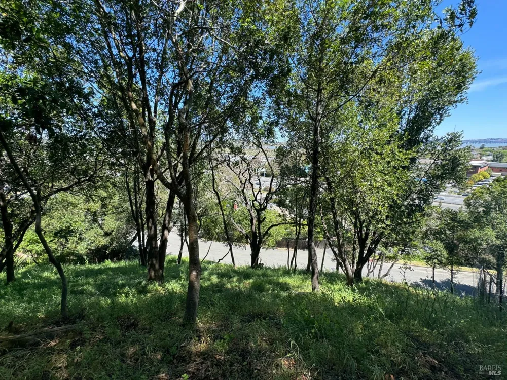 815 Meadowsweet Drive Corte Madera, CA 94925