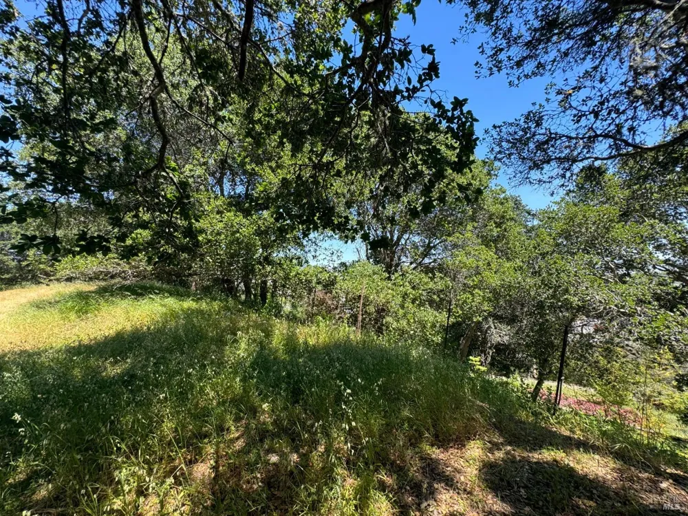 815 Meadowsweet Drive Corte Madera, CA 94925