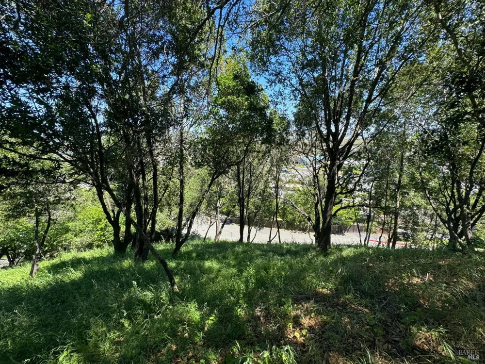 815 Meadowsweet Drive Corte Madera, CA 94925