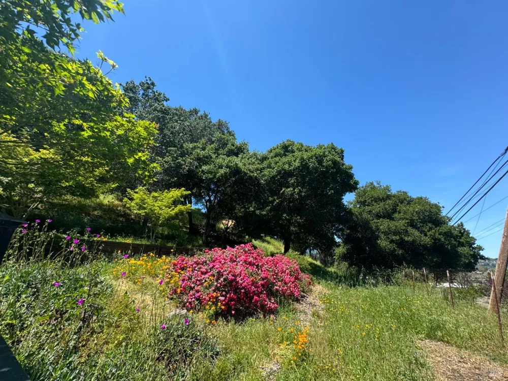 815 Meadowsweet Drive Corte Madera, CA 94925
