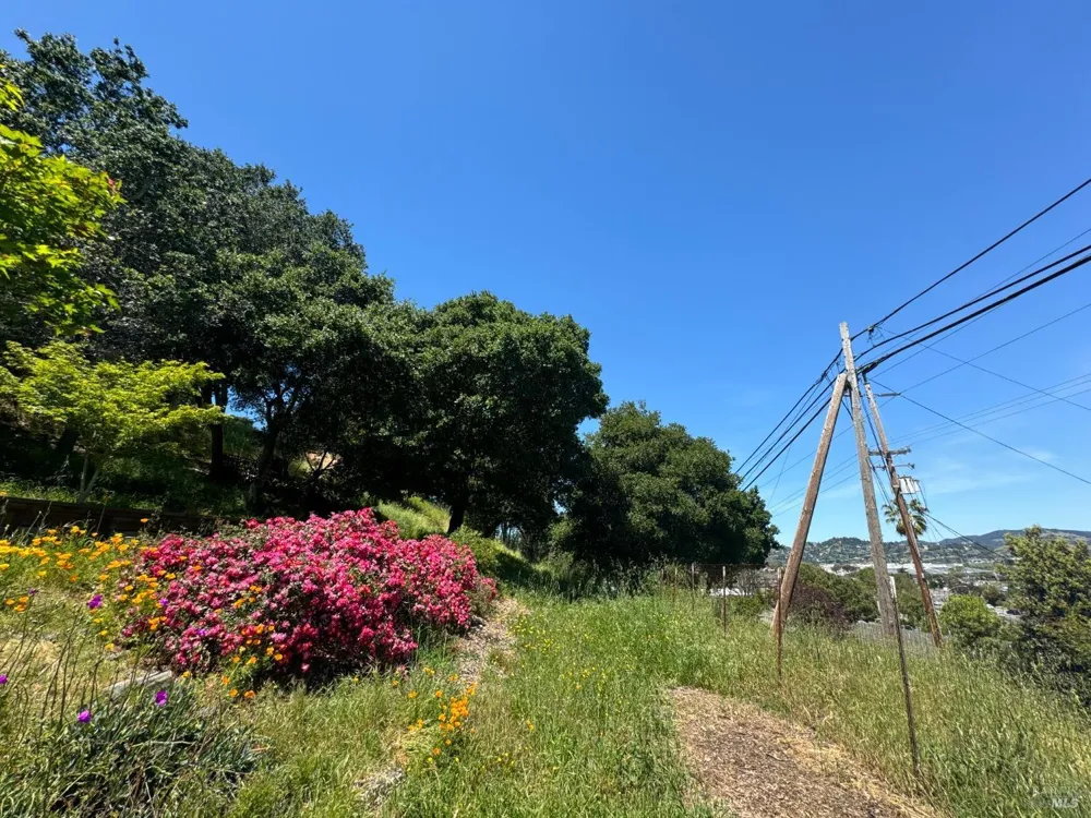 815 Meadowsweet Drive Corte Madera, CA 94925
