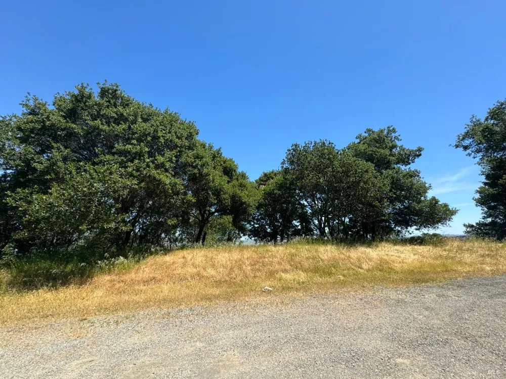 815 Meadowsweet Drive Corte Madera, CA 94925