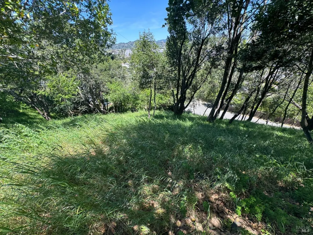 815 Meadowsweet Drive Corte Madera, CA 94925