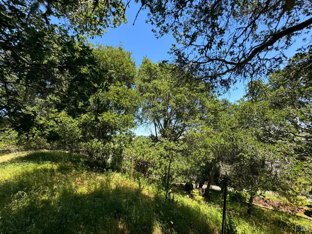 815 Meadowsweet Drive Corte Madera, CA 94925