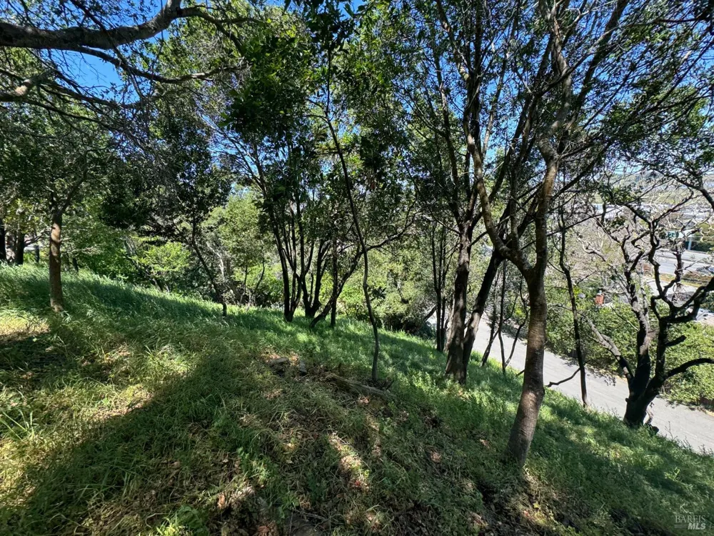 815 Meadowsweet Drive Corte Madera, CA 94925